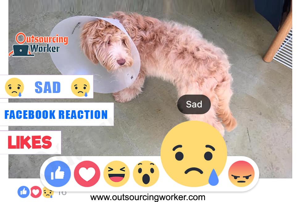 I will Provide 100 Facebook Emotions Sad Likes