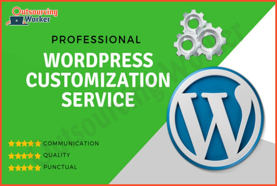 I will provide professional wordpress customization